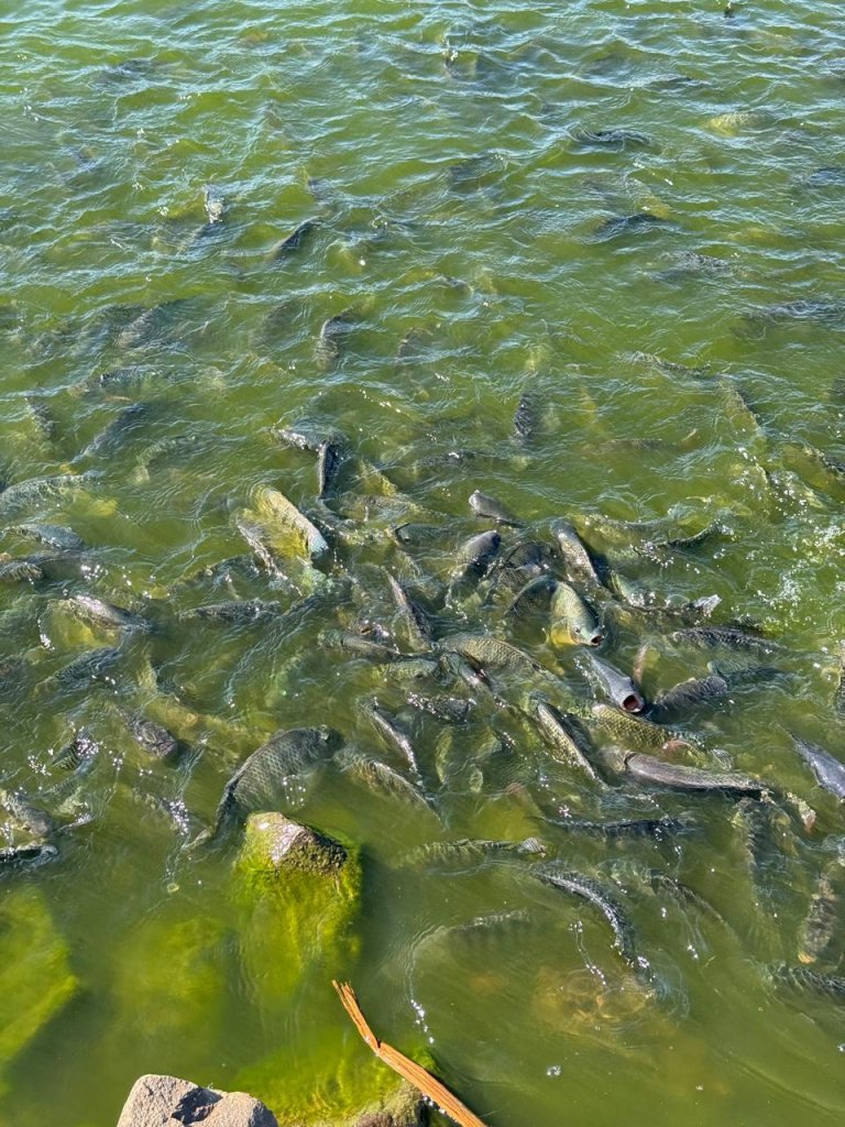 Imagem da notícia